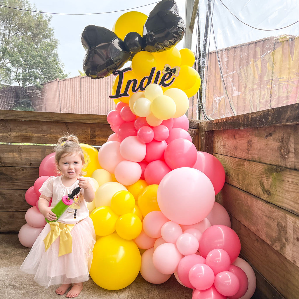 DIY Balloon Garland Kit - Emma Wiggles Inspired