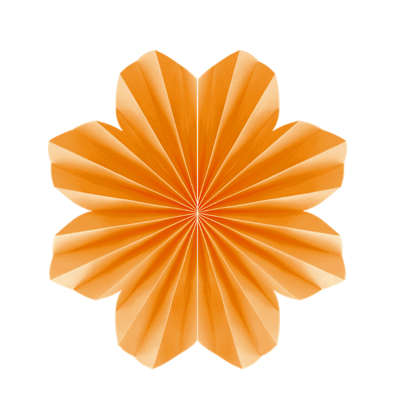 Tangerine Paper Daisy