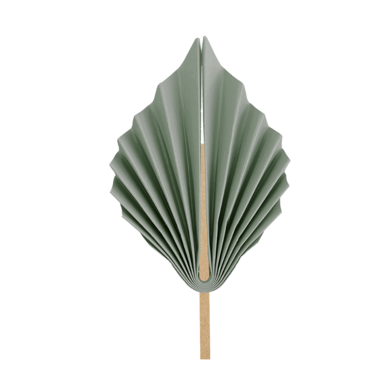 Eucalyptus Palm Leaf
