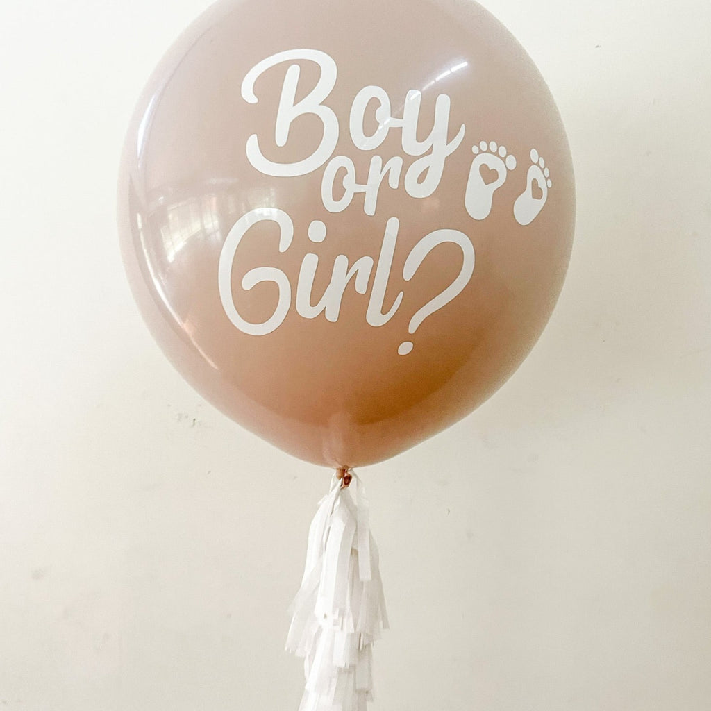 Boy or Girl Gender Reveal Balloon