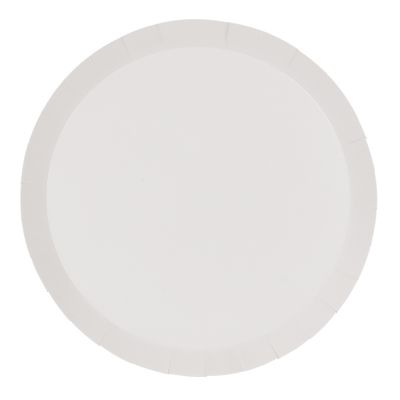 White Party Paper Plates